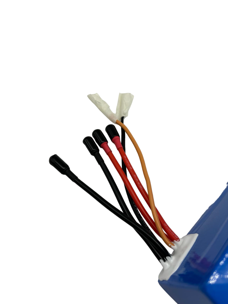 DUALTRON VICTOR | BATTERIE 60V24AH